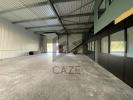 Annonce Location Commerce Canejan