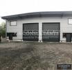 Annonce Location Commerce Tournon