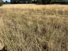 Vente Terrain  44