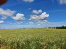 Vente Terrain Angliers 86