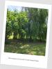 Acheter Terrain Sainte-foy-d'aigrefeuille 148000 euros