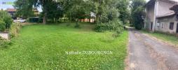 Vente Terrain Dommartin 01