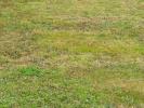 Annonce Vente Terrain Behoust