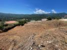 Annonce Vente Terrain Folelli