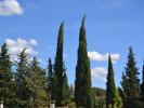 Annonce Vente 5 pièces Maison Saint-remy-de-provence