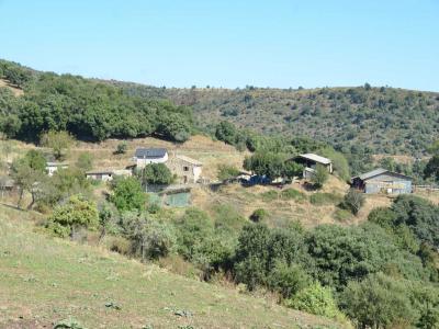 Vente Maison 5 pices SAINT-LAURENT-DU-PAPE 07800