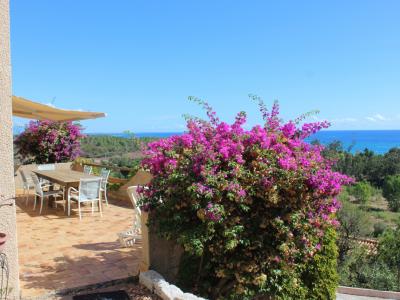 Vente Maison 5 pièces SARI-SOLENZARA 20145