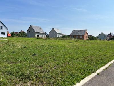 Vente Terrain MUNWILLER 68250