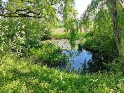For sale House BARRAN 