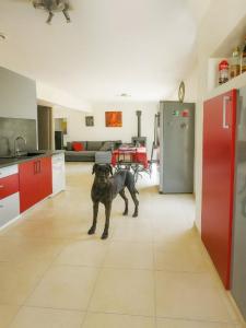 Vente Maison SAINT-GERMAIN 