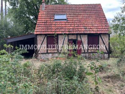 photo For sale House LAMOTTE-BEUVRON 41