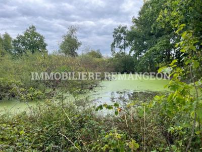 For sale House LAMOTTE-BEUVRON 
