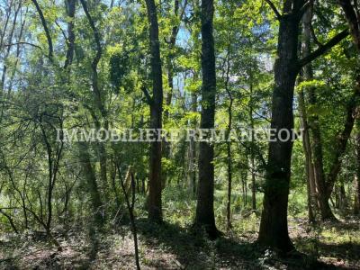 Vente Maison LAMOTTE-BEUVRON 