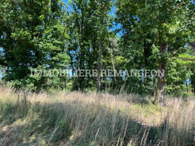 Vente Maison LAMOTTE-BEUVRON 