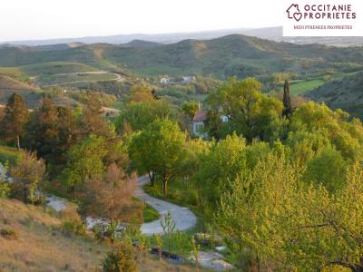 photo For sale Prestigious house LAURAC 11