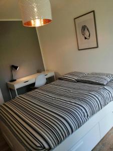 Location Appartement RENNES 35200