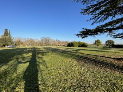 For sale Land SAINT-JEAN-DE-RIVES  81
