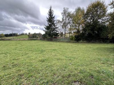 Vente Terrain SAINT-MAURICE-EN-GOURGOIS  42