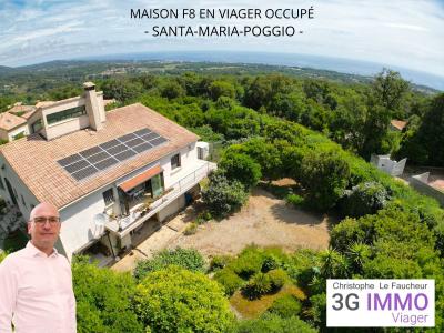 Vente Maison 8 pièces SANTA-MARIA-POGGIO 20221