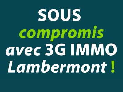 Vente Maison 6 pièces HERSERANGE 54440