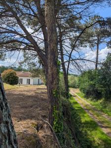 photo For sale House HAGETMAU 40