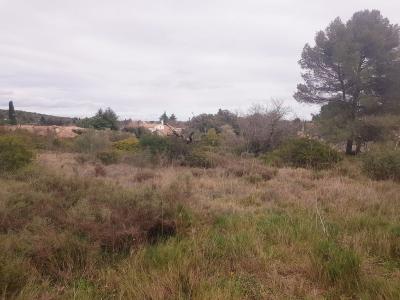 Vente Terrain PIGNAN 34570