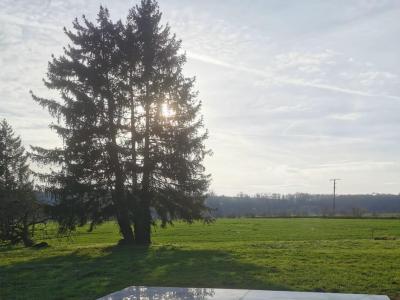 Vente Terrain BIENVILLE-LA-PETITE LUNAVILLE 54