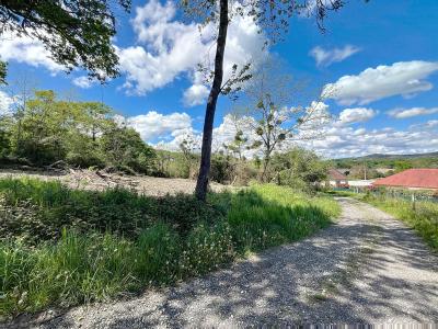 Vente Terrain PARBAYSE 64360