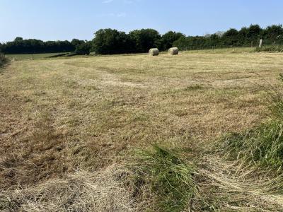 For sale Land MONDREPUIS  02