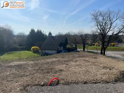 photo For sale Land ECHENEVEX 01