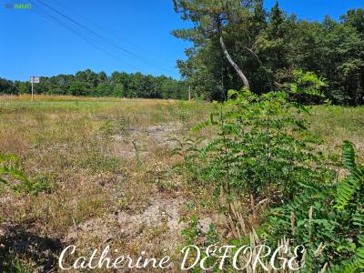 photo For sale Land CIVRAC-DE-BLAYE 33