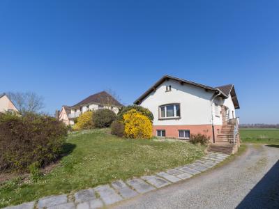 Vente Maison 10 pièces DUPPIGHEIM 67120