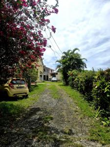 Vente Maison 5 pièces GOSIER 97190