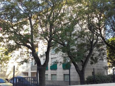 For rent Apartment AVIGNON 