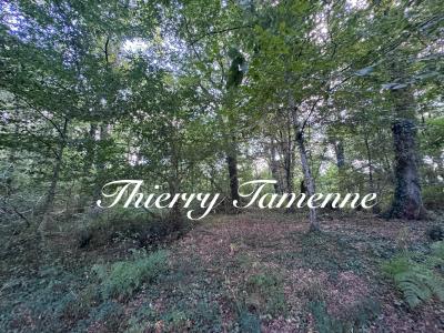 photo For sale Land SAINT-PE-SAINT-SIMON 47