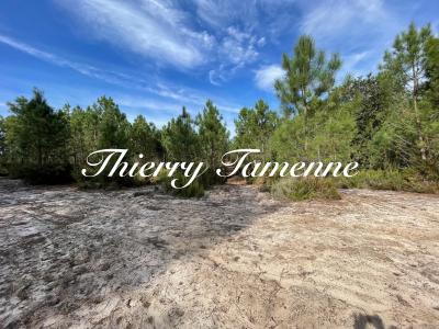 photo For sale Land BARBASTE 47