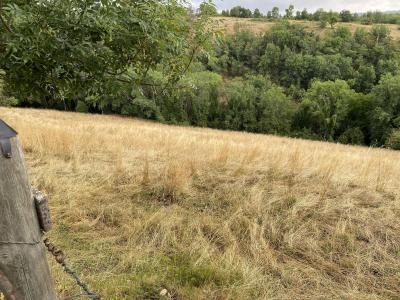 Vente Terrain ARDES 63420