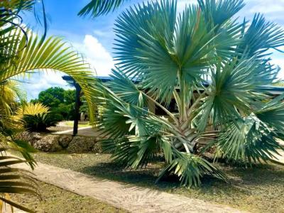 Vente Maison 4 pièces ANSE-BERTRAND 97121