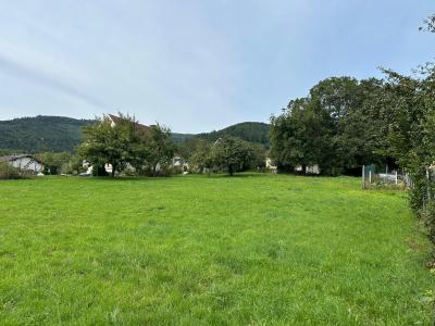 Vente Terrain SOULTZMATT 68570