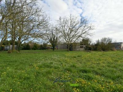 Vente Terrain BRISSAC-QUINCE 49320