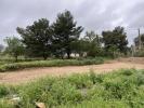 Annonce Vente Terrain Lespignan
