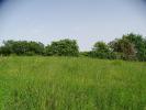Acheter Terrain Isle-jourdain Gers
