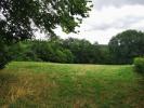 Annonce Vente Terrain Chapdes-beaufort