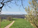 Annonce Vente 10 pièces Maison Barran