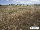 Acheter Terrain 5210 m2 Saint-hippolyte
