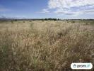 Acheter Terrain Saint-hippolyte Pyrenees orientales