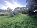 Annonce Vente Terrain Puget-sur-argens