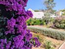 Annonce Vente 3 pièces Appartement Seyne-sur-mer