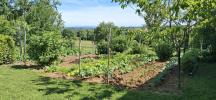 Annonce Vente 7 pices Maison Thiviers