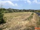 Acheter Terrain Lespignan Herault